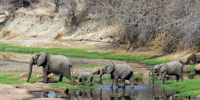 4 days 3 nights serengeti,ngorongoro & tarangire tanzania - Photo 10