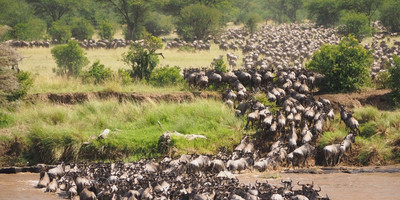 4 days 3 nights serengeti,ngorongoro & tarangire tanzania - Photo 6