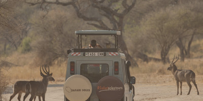 4 days camping tour to best wildlife parks in tanzania - Photo 11