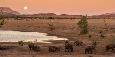 4 Days Damaraland & Skeleton Coast-Namibia(Lodging) - Photo 11
