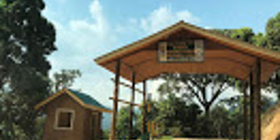 Gorilla tour in uganda - Photo 22