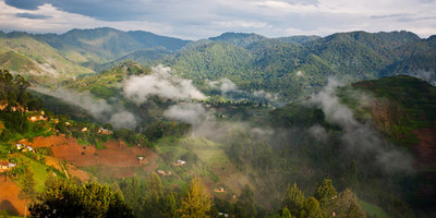 Gorilla tour in uganda - Photo 26