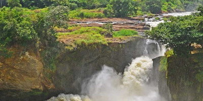 Gorilla tour in uganda - Photo 16
