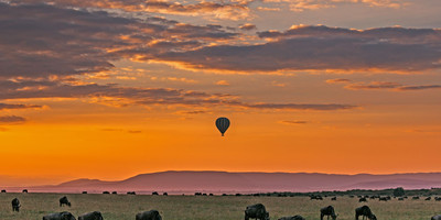 4 days masai mara & lake nakuru - Photo 3