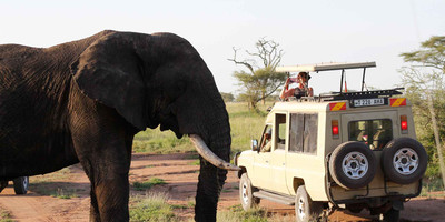 4 days tanzania adventure safari - Photo 11
