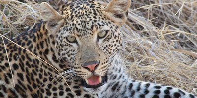 4 days tanzania private safari - Photo 5
