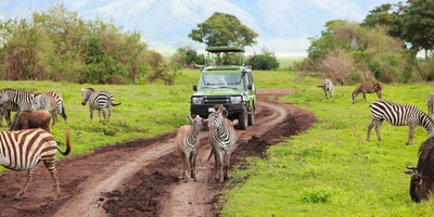 4days budget camping private safari: lake manyara, serengeti & ngorongoro - Photo 2
