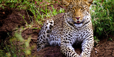 5-day tanzania camping safari - Photo 7