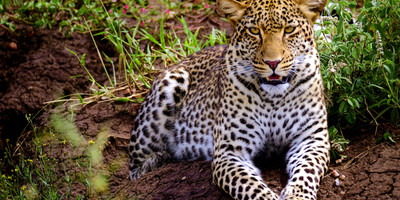 5-day tanzania camping safari - Photo 10