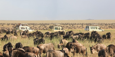 5-day tanzania camping safari - Photo 9