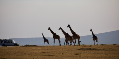5-day tanzania camping safari - Photo 4