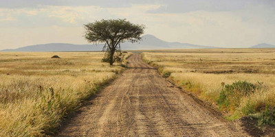 5 days / 4 nights safari - mid range - Photo 2