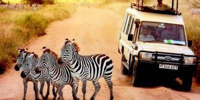 5 days / 4 nights safari - mid range - Photo 7