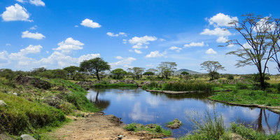 5 days 4 nights taste of loxodonta tanzania safarisisri - Photo 31