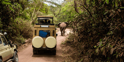 5 days 4 nights taste of loxodonta tanzania safarisisri - Photo 27