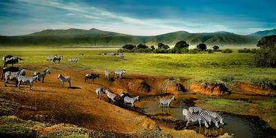5 days 4 nights taste of loxodonta tanzania safarisisri - Photo 11