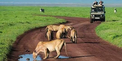 5 days 4 nights taste of loxodonta tanzania safarisisri - Photo 13