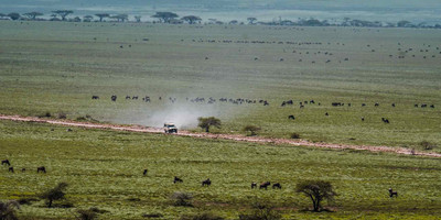 5 days 4 nights taste of loxodonta tanzania safarisisri - Photo 6