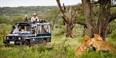 5 days 4 nights taste of loxodonta tanzania safarisisri - Photo 3