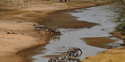 5 days last-minute safari from zanzibar - Photo 17