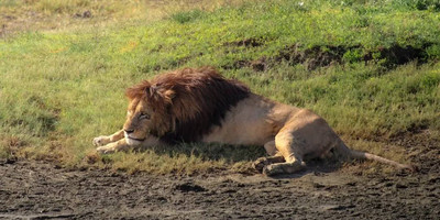 5 days last-minute safari from zanzibar - Photo 10