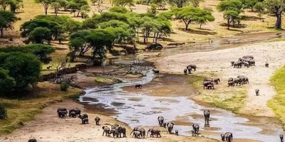 5 days last-minute safari from zanzibar - Photo 16