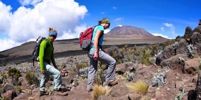 5 days marangu route kilimanjaro hiking package 2026 - Photo 14