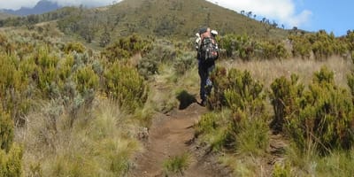 5 days marangu route kilimanjaro hiking package 2026 - Photo 6