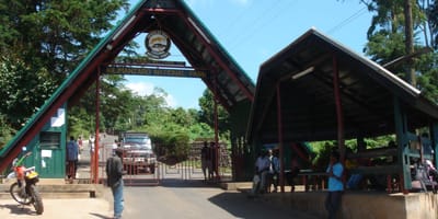 5 days marangu route kilimanjaro hiking package 2026 - Photo 15