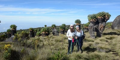 5 days marangu route kilimanjaro hiking package 2026 - Photo 10