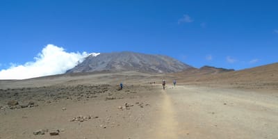 5 days marangu route kilimanjaro hiking package 2026 - Photo 23