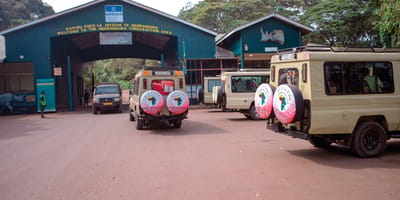 5 days tanzania private safari package by widerange african safaris - Photo 21