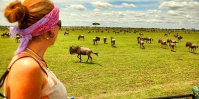 5 days tanzania private safari package by widerange african safaris - Photo 95