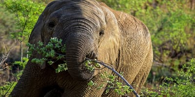 5 days tanzania private safari package by widerange african safaris - Photo 73