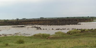 5 days tanzania private safari package by widerange african safaris - Photo 50