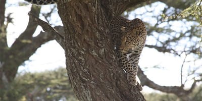 5 days tanzania private safari package by widerange african safaris - Photo 40