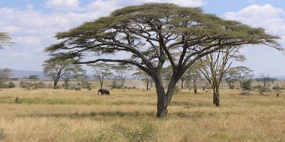 5 days tanzania private safari package by widerange african safaris - Photo 44