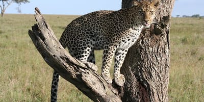 5 days tanzania private safari package by widerange african safaris - Photo 45
