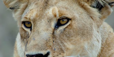 5 days tanzania private safari package by widerange african safaris - Photo 53