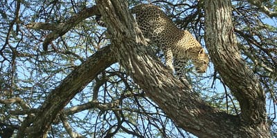 5 days tanzania private safari package by widerange african safaris - Photo 47