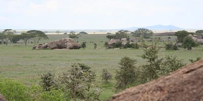 5 days tanzania private safari package by widerange african safaris - Photo 49