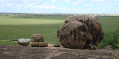 5 days tanzania private safari package by widerange african safaris - Photo 59