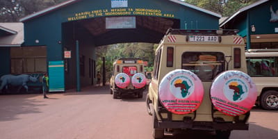 5 days tanzania private safari package by widerange african safaris - Photo 22