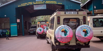 5 days tanzania private safari package by widerange african safaris - Photo 23