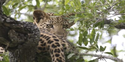 5 days tanzania private safari package by widerange african safaris - Photo 77