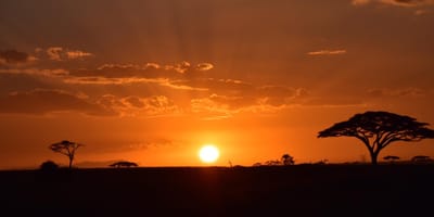 5 days tanzania private safari package by widerange african safaris - Photo 81