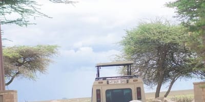 5 days tanzania private safari package by widerange african safaris - Photo 36