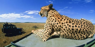 5 days tanzania private safari package by widerange african safaris - Photo 93