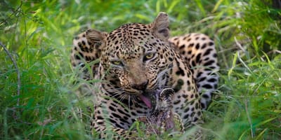5 days tanzania private safari package by widerange african safaris - Photo 65
