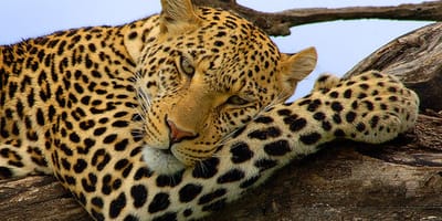 5 days tanzania private safari package by widerange african safaris - Photo 54